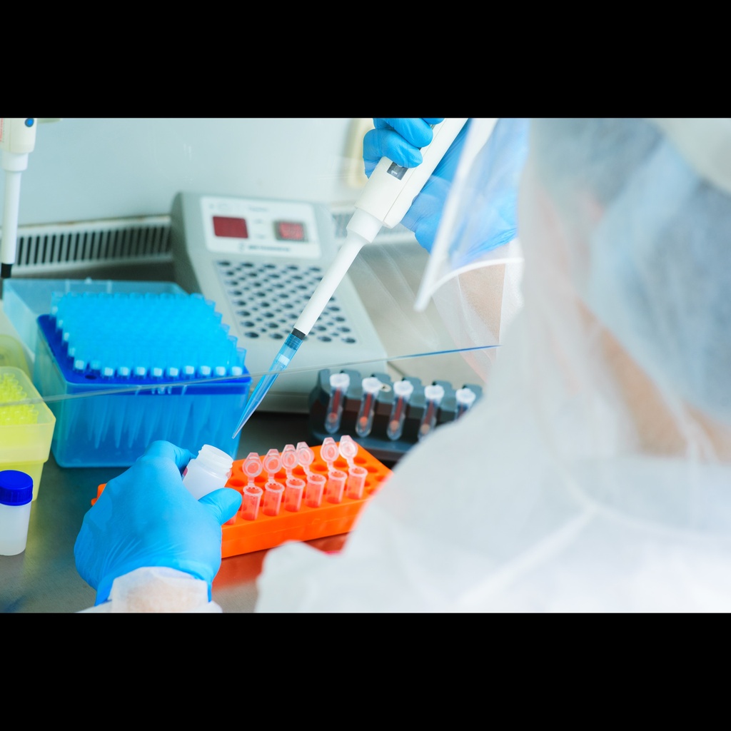 2x SYBR Green qPCR Master Mix